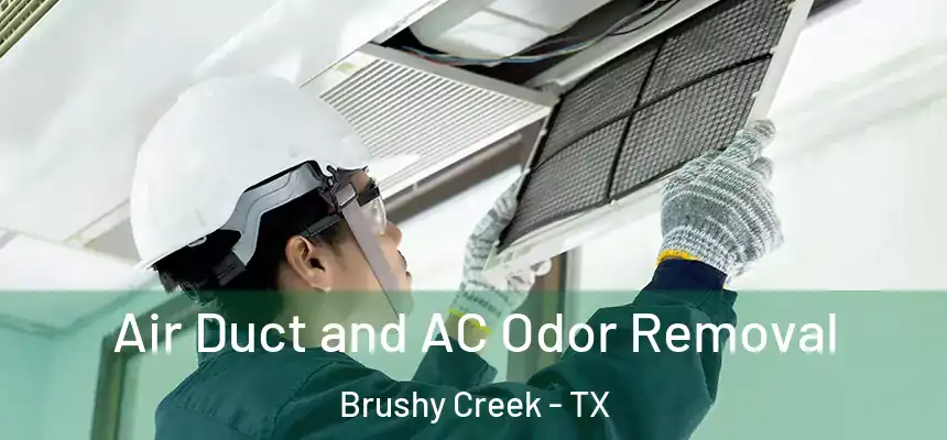 Air Duct and AC Odor Removal Brushy Creek - TX