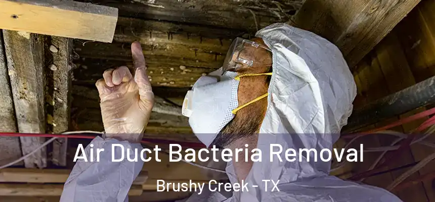 Air Duct Bacteria Removal Brushy Creek - TX