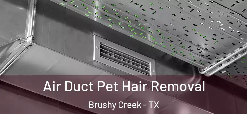 Air Duct Pet Hair Removal Brushy Creek - TX