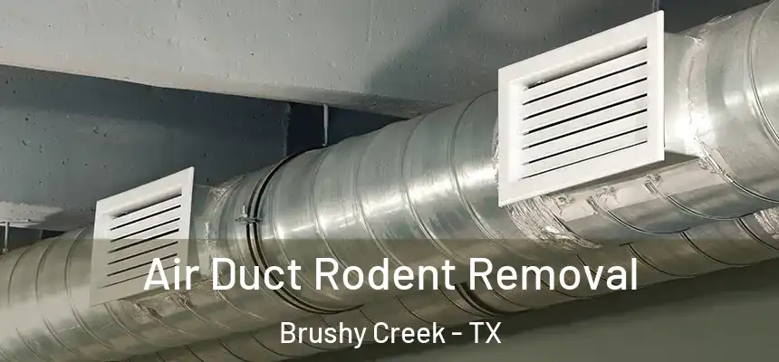 Air Duct Rodent Removal Brushy Creek - TX