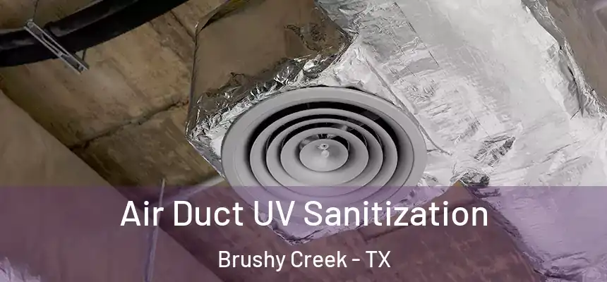Air Duct UV Sanitization Brushy Creek - TX