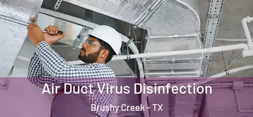 Air Duct Virus Disinfection Brushy Creek - TX