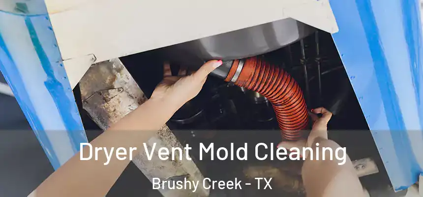 Dryer Vent Mold Cleaning Brushy Creek - TX
