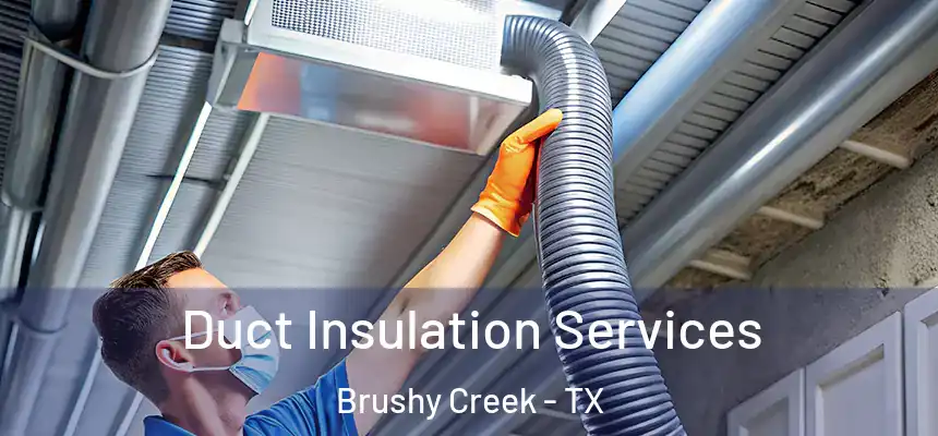 Duct Insulation Services Brushy Creek - TX