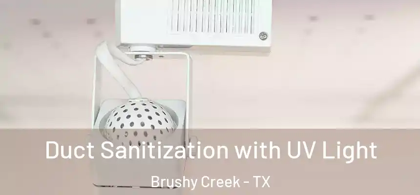 Duct Sanitization with UV Light Brushy Creek - TX
