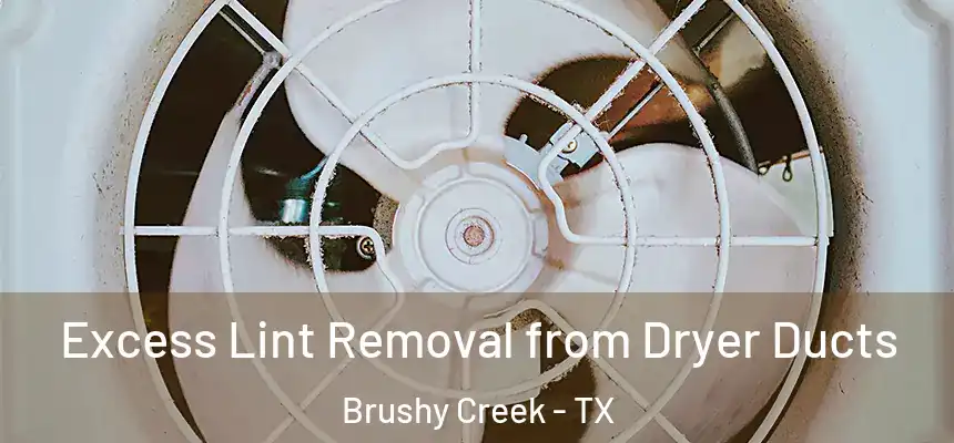 Excess Lint Removal from Dryer Ducts Brushy Creek - TX