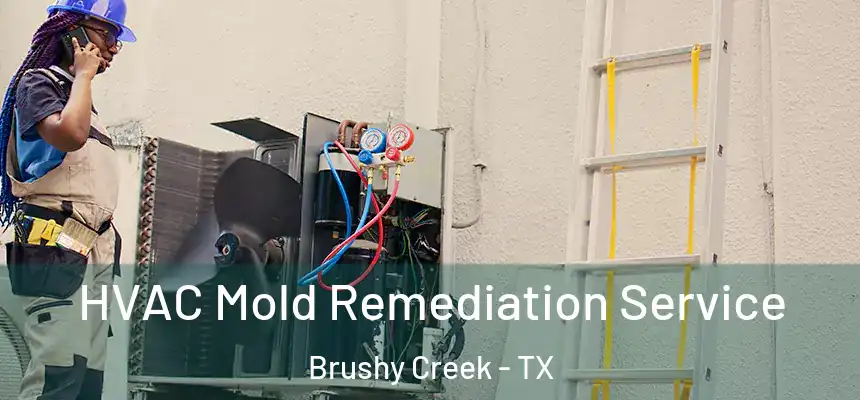 HVAC Mold Remediation Service Brushy Creek - TX