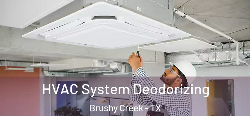  HVAC System Deodorizing Brushy Creek - TX
