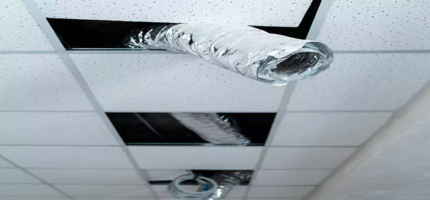 Affordable HVAC Sanitizing After Pest Removal in Brushy Creek