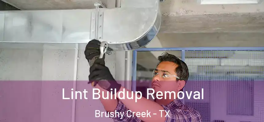 Lint Buildup Removal Brushy Creek - TX