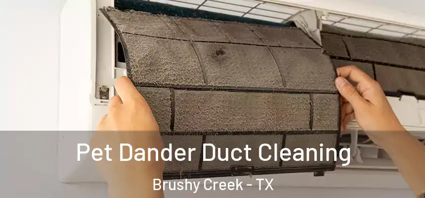 Pet Dander Duct Cleaning Brushy Creek - TX