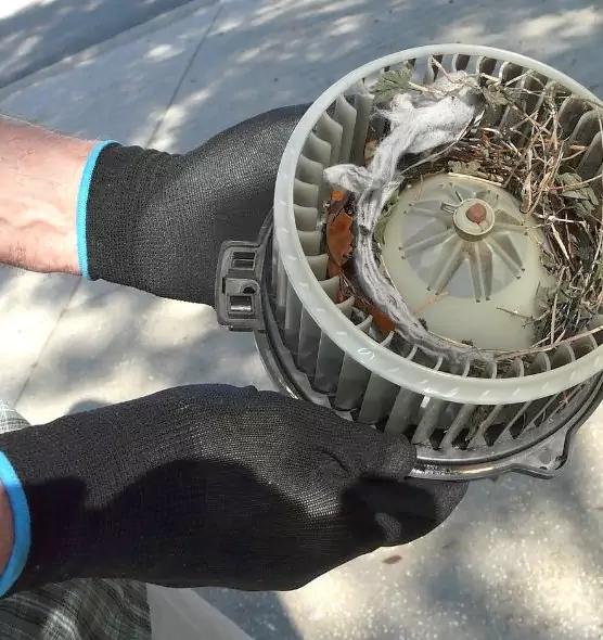 About Air Duct Mice Removal in Brushy Creek, TX