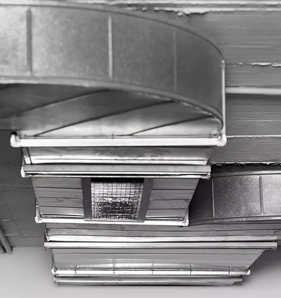 Professional Air Duct Pet Hair Removal in Brushy Creek, TX