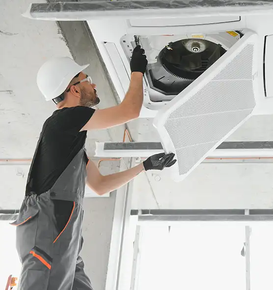 About Air Duct Rodent Removal in Brushy Creek, TX