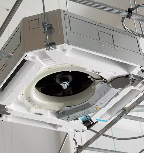 Professional Roof Vent Lint Removal Brushy Creek, TX