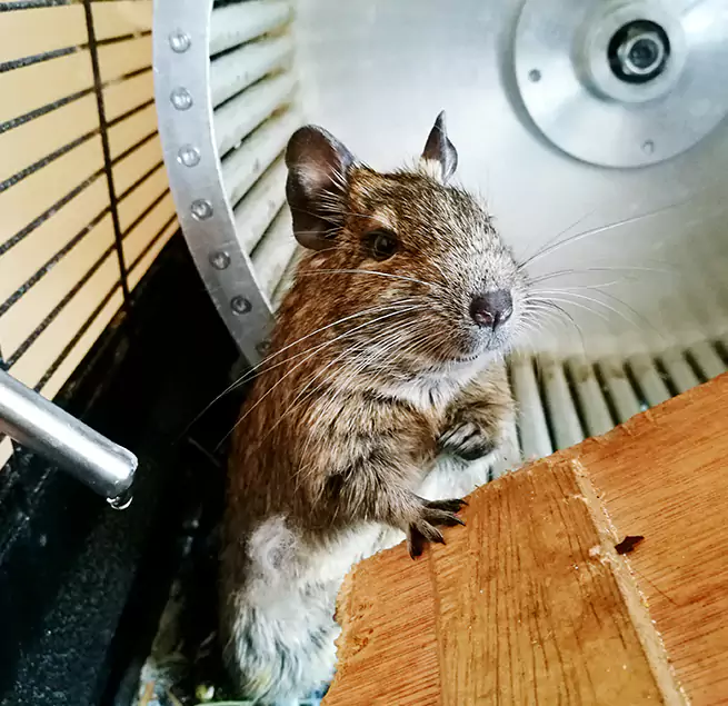 Why Homeowners & Businesses Trust Us Brushy Creek, TX