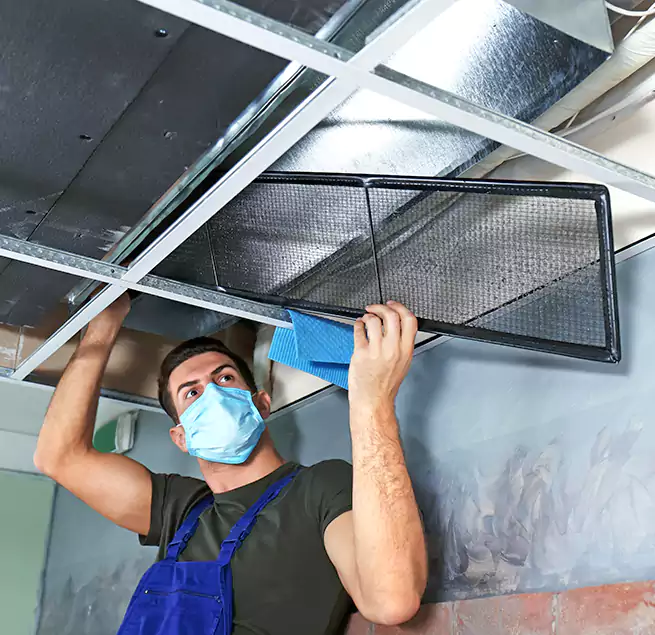 Why Homeowners Businesses Trust Us in Brushy Creek, TX