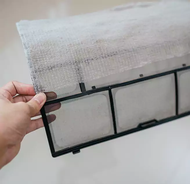 Why Homeowners & Businesses Trust Us in Brushy Creek, TX?