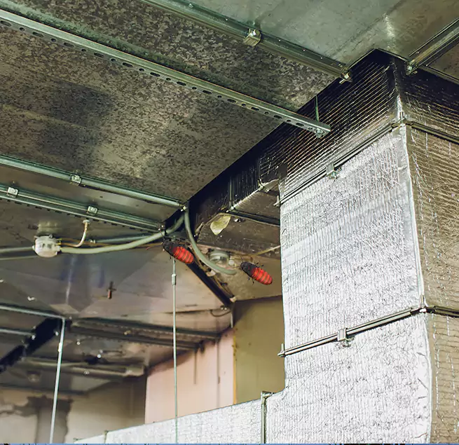 Why Homeowners & Businesses Trust Us Brushy Creek, TX?